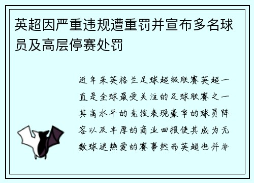 英超因严重违规遭重罚并宣布多名球员及高层停赛处罚