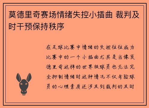 莫德里奇赛场情绪失控小插曲 裁判及时干预保持秩序